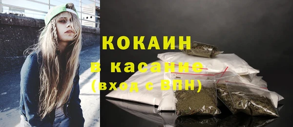 ешки Вяземский