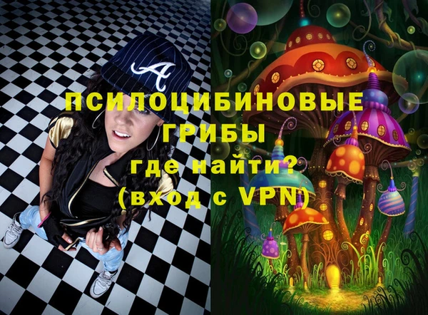 молекула духа Вязники