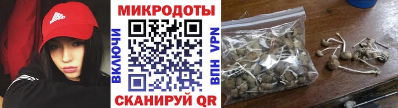 сколько стоит  mega сайт  Галлюциногенные грибы мухоморы  Яхрома 