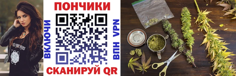 Бошки Шишки ГИДРОПОН Яхрома